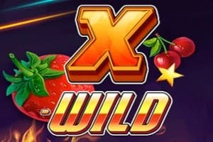 X-WILD slot game by 1x2 Gaming