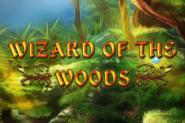 Wizard of the Woods slot game by 2 By 2 Gaming