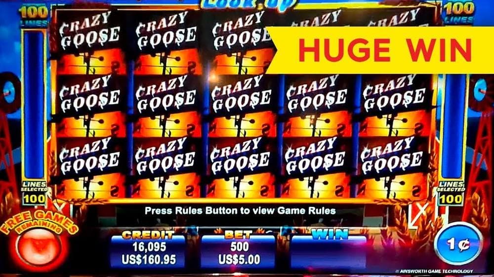 Crazy Goose slot game by Ainsworth