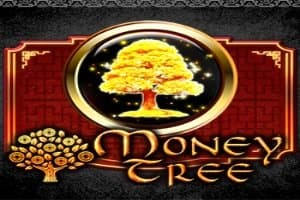 Money Tree slot game by Ameba Entertainment