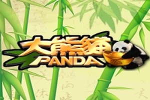 Panda slot game by Ameba Entertainment