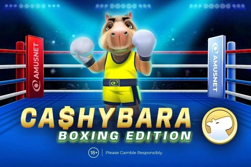 Cashybara Boxing Edition slot game by Amusnet