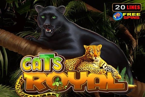 Cats Royal slot game by Amusnet