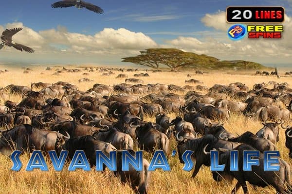 Savannas Life slot game by Amusnet