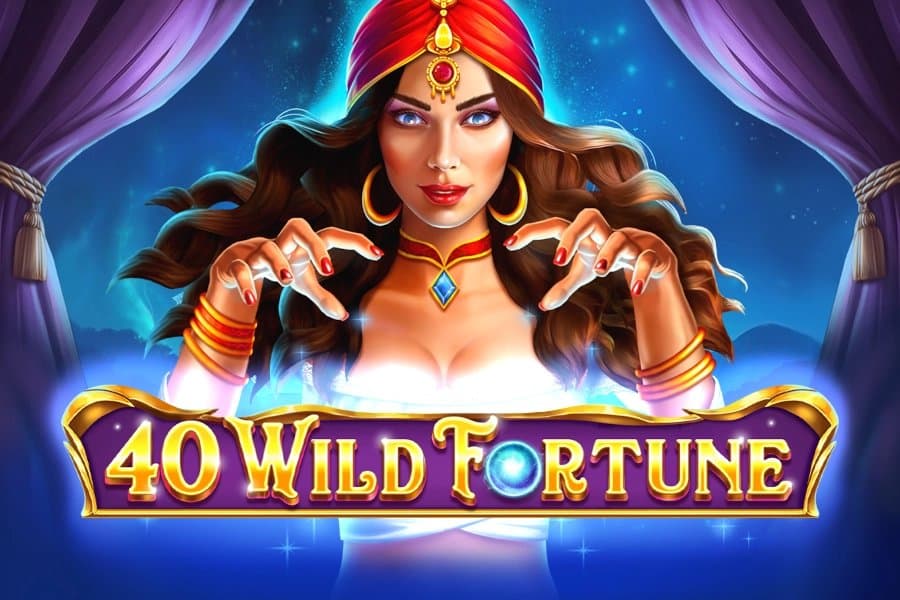 Wild Fortune slot game by Amusnet
