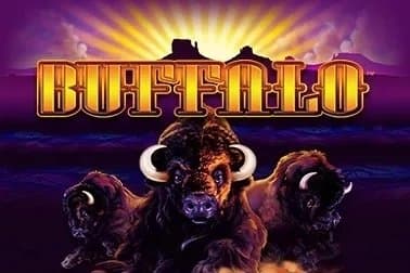 Buffalo slot game by Aristocrat
