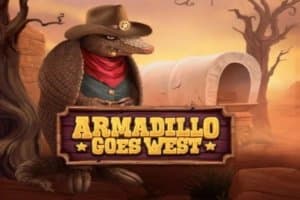 Armadillo Goes West slot game by Armadillo Studios