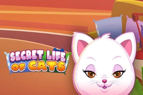 Secret Life of Cats slot game by Arrow's Edge