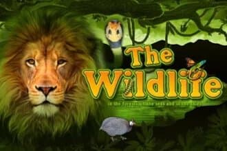 The Wildlife slot game by Belatra