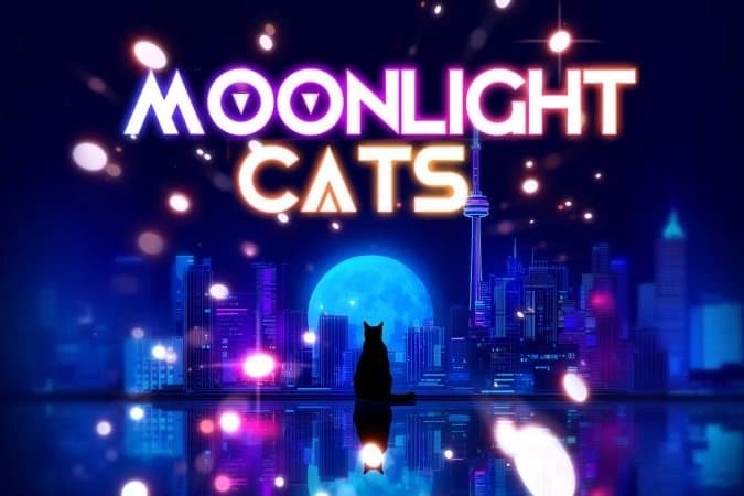 Moonlight Cats slot game by Bigpot Gaming
