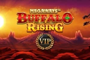 Buffalo Rising All Action Megaways slot game by Blueprint Gaming