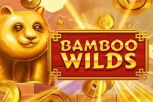 Bamboo Wilds slot game by Booming Games