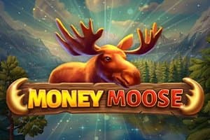 Money Moose slot game by Booming Games