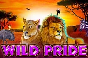 Wild Pride slot game by Booming Games