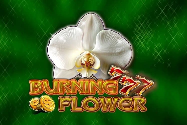 Burning Flower slot game by CT Interactive