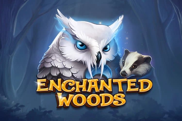 Enchanted Woods slot game by CT Interactive