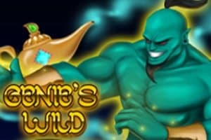 Genie's Wild slot game by DigitalWin