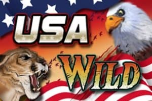 USA Wild slot game by DigitalWin