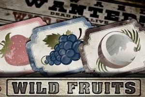 Wild Fruits slot game by Endorphina