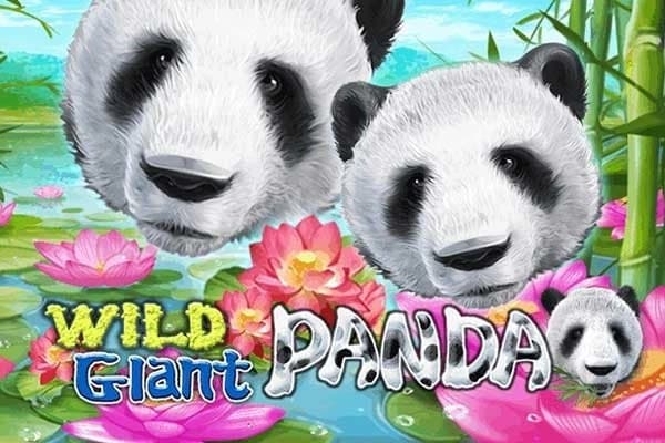 Wild Giant Panda slot game by Eurasian Gaming