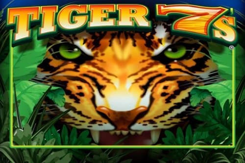 Tiger 7s slot game by Everi