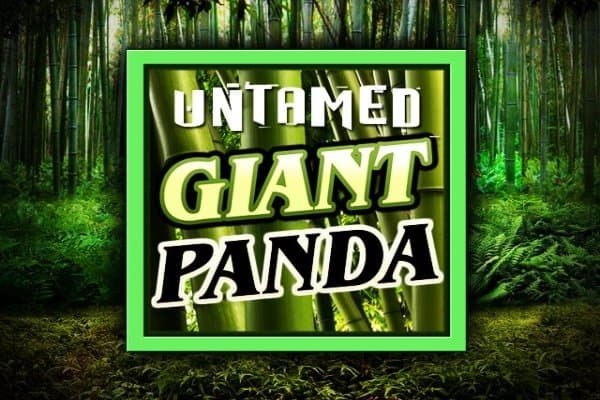 Untamed Giant Panda slot game by Games Global