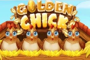 Golden Chick slot game by Gaming Corps