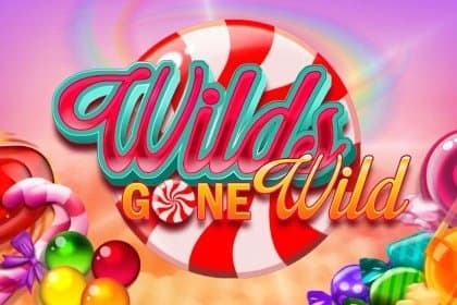 Wilds Gone Wild slot game by Gamomat