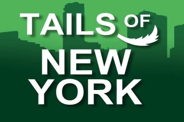 Tails Of New York slot game by Genii