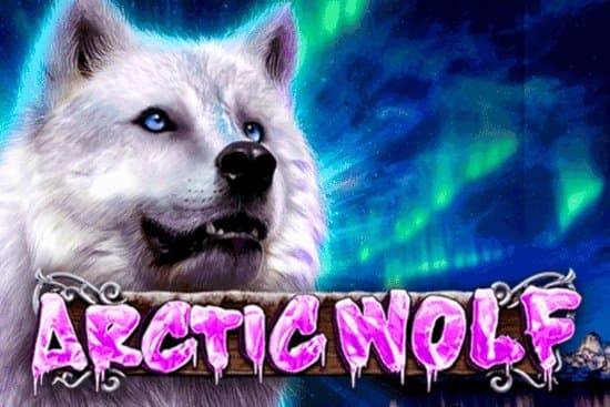 Arctic Wolf slot game by GMW