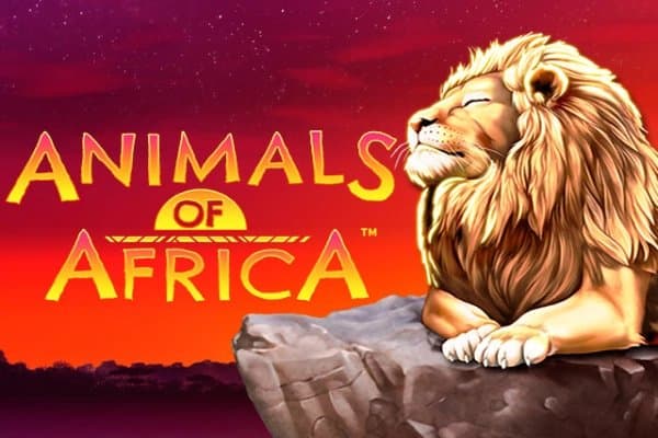 Animals of Africa slot game by Gold Coin Studios