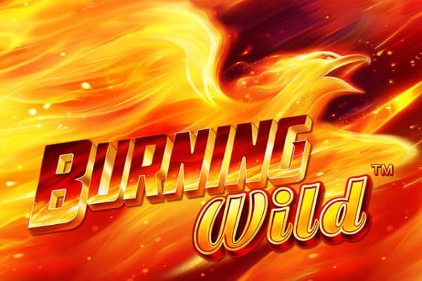 Burning Wild slot game by Greentube