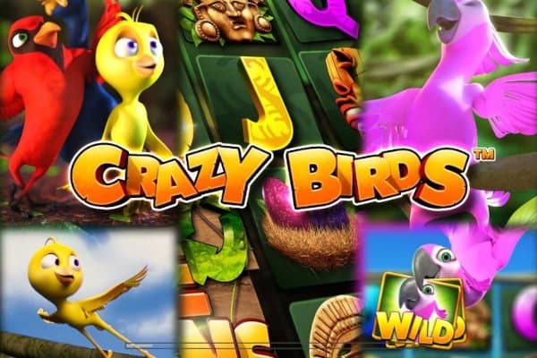Crazy Birds slot game by Greentube