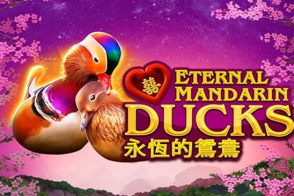 Power Prizes - Eternal Mandarin Ducks slot game by Greentube