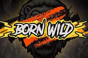 Born Wild slot game by Hacksaw Gaming