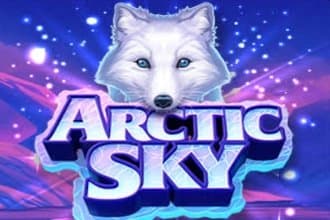 Arctic Sky slot game by High 5 Games