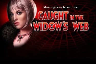 Caught In The Widow's Web slot game by High 5 Games