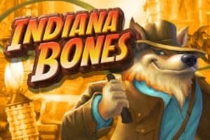 Indiana Bones slot game by High 5 Games