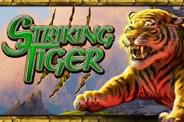Striking Tiger slot game by High 5 Games