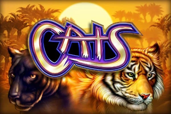 Cats slot game by IGT