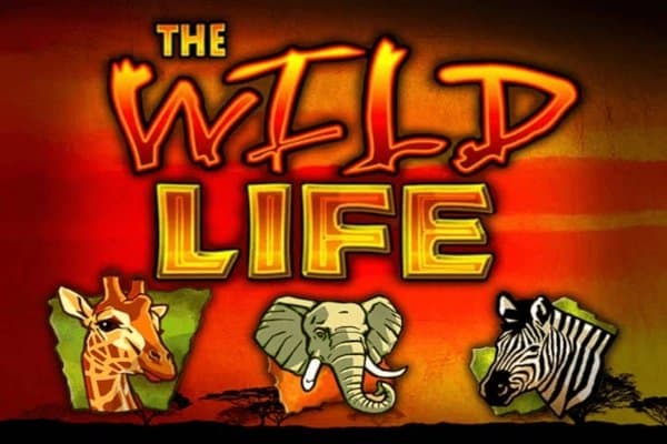 The Wild Life slot game by IGT