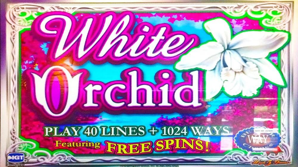 White Orchid slot game by IGT