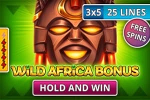 Wild Africa Bonus slot game by InBet Games