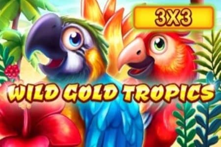 Wild Gold Tropics 3x3 slot game by InBet Games