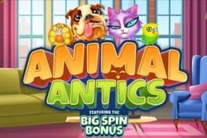 Animal Antics slot game by Inspired Gaming