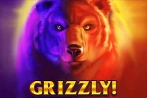 Grizzly slot game by Inspired Gaming