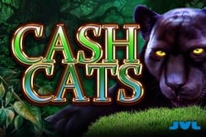 Cash Cats slot game by JVL