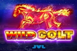 Wild Colt slot game by JVL