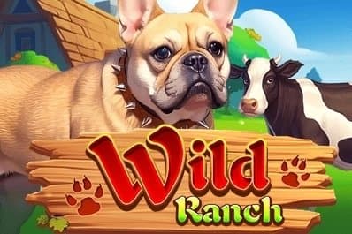 Wild Ranch slot game by KA Gaming