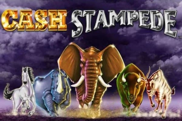 Cash Stampede slot game by Light & Wonder